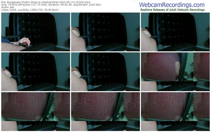 bongacams-howbigisthat-06-14-2023-12-23-24