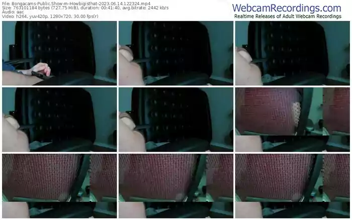 bongacams-howbigisthat-06-14-2023-12-23-24