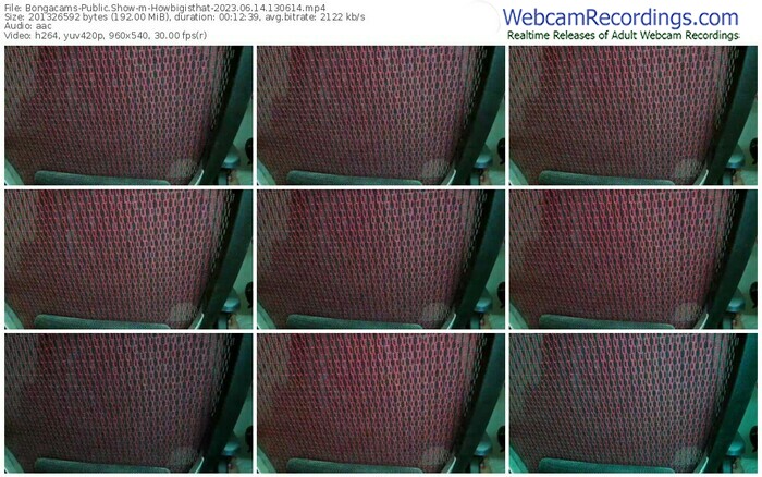 bongacams-howbigisthat-06-14-2023-13-06-14