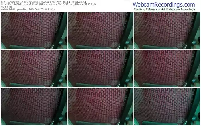 bongacams-howbigisthat-06-14-2023-13-06-14