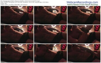 bongacams-dildtriy-06-16-2023-22-41-55