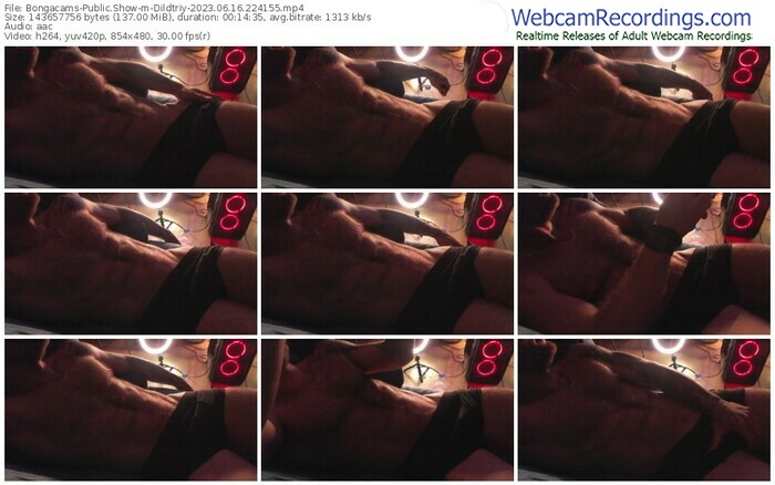 bongacams-dildtriy-06-16-2023-22-41-55
