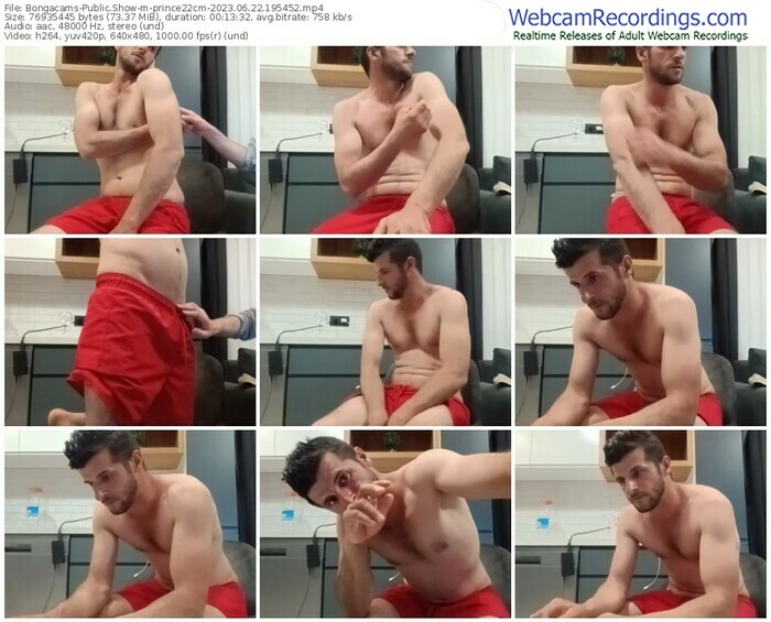 bongacams-prince22cm-06-22-2023-19-54-52