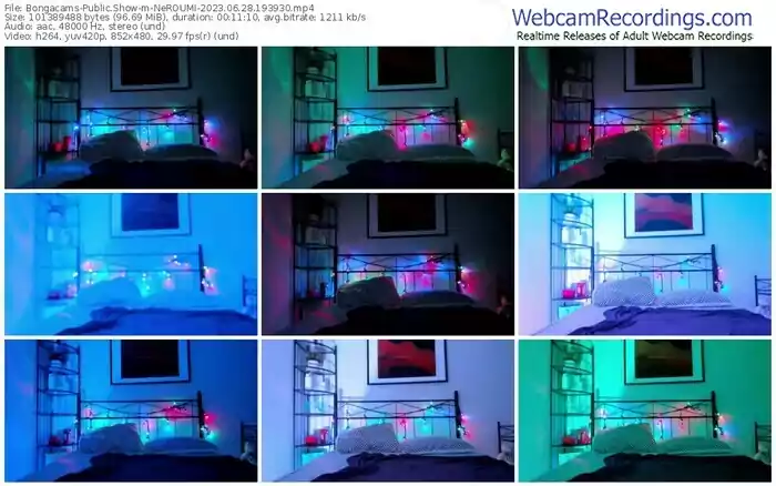 bongacams-neroumi-06-28-2023-19-39-30