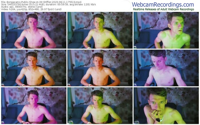 bongacams-mr-stiffler-08-11-2023-17-55-19