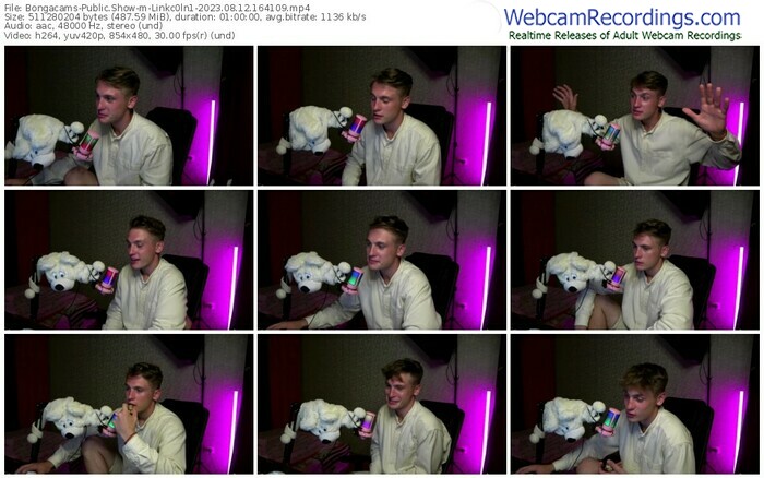 bongacams-linkc0ln1-08-12-2023-16-41-09