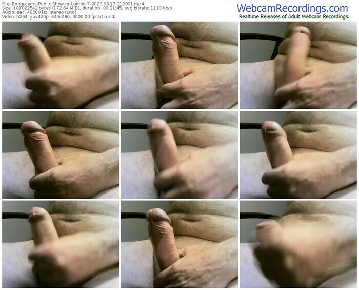 bongacams-lambo-7-08-17-2023-21-20-01