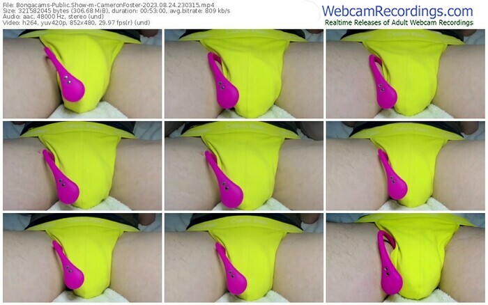 bongacams-cameronfoster-08-24-2023-23-03-15