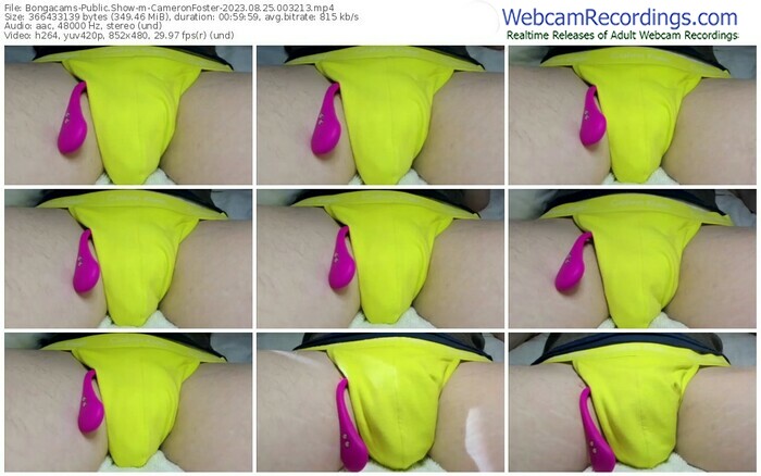 bongacams-cameronfoster-08-25-2023-00-32-13