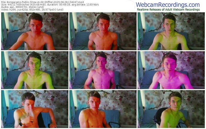 bongacams-mr-stiffler-08-28-2023-13-42-47
