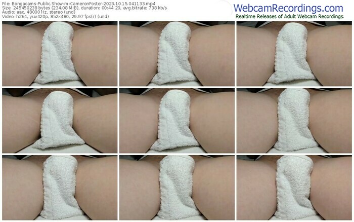 bongacams-cameronfoster-10-15-2023-04-11-33