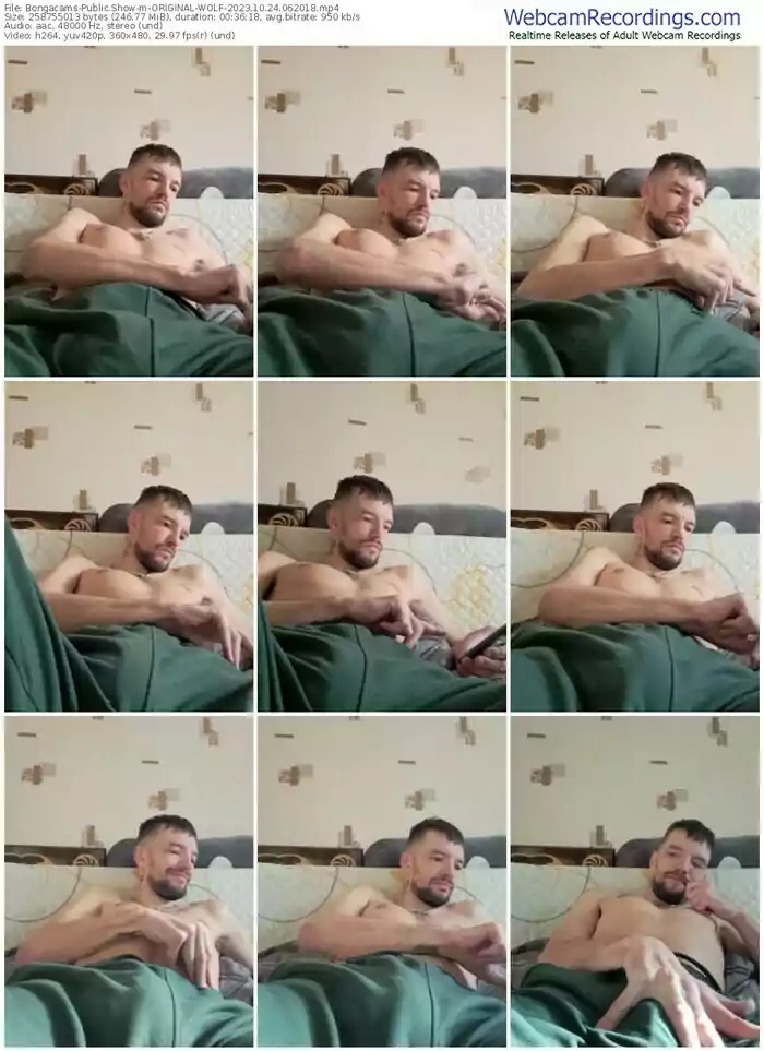 bongacams-original-wolf-10-24-2023-06-20-18