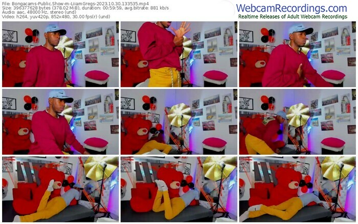bongacams-liiamgregs-10-30-2023-13-35-35