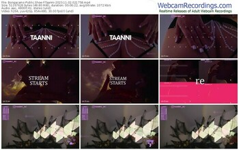 bongacams-taanni-11-02-2023-02-17-58