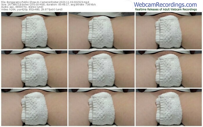bongacams-cameronfoster-11-03-2023-00-23-23