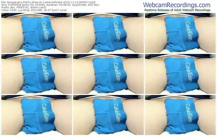 bongacams-cameronfoster-11-13-2023-08-04-57