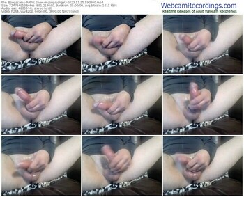 bongacams-jongajongau-11-15-2023-19-28-00