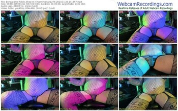 bongacams-charmingman1275-11-25-2023-14-16-57