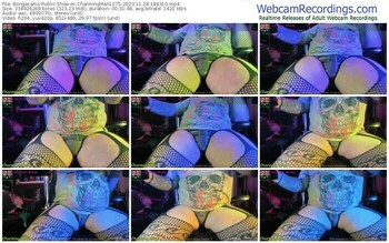 bongacams-charmingman1275-11-28-2023-18-43-10