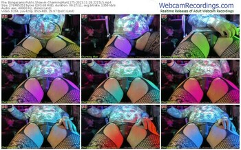 bongacams-charmingman1275-11-28-2023-22-15-15