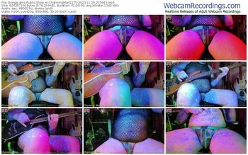 bongacams-charmingman1275-11-29-2023-21-56-43