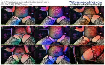 bongacams-charmingman1275-11-30-2023-18-20-48