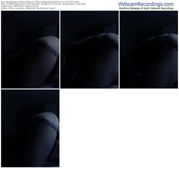 bongacams-thenudegeorge-12-01-2023-07-47-13