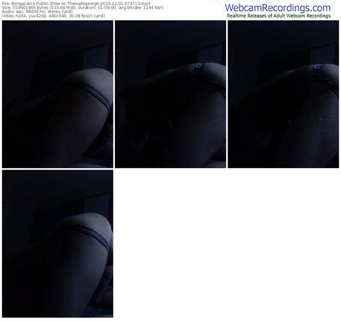 bongacams-thenudegeorge-12-01-2023-07-47-13