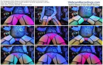 bongacams-charmingman1275-12-03-2023-14-33-17