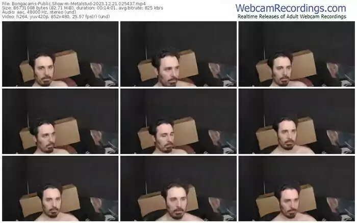 bongacams-metalstud-12-21-2023-02-54-37