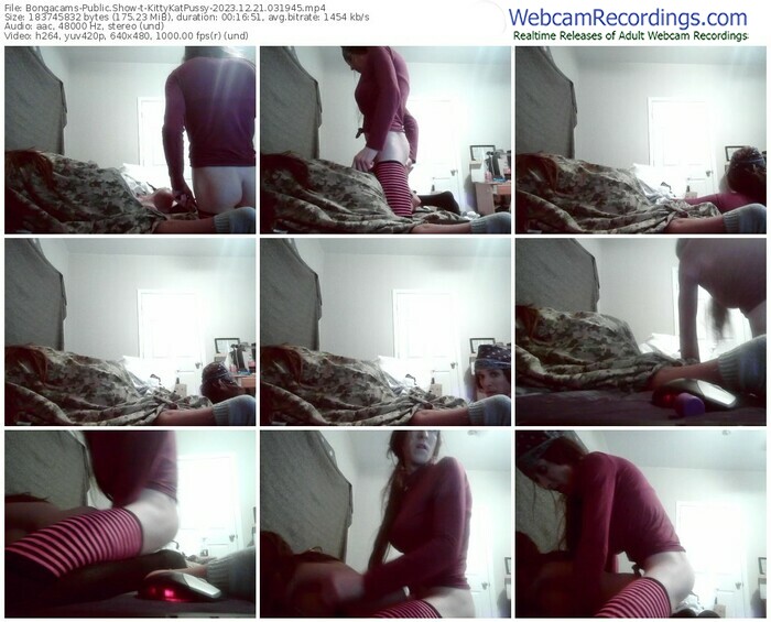 bongacams-kittykatpussy-12-21-2023-03-19-45