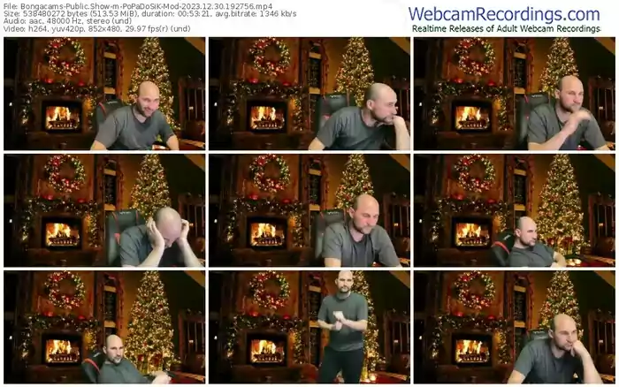 bongacams-popadosik-mod-12-30-2023-19-27-56