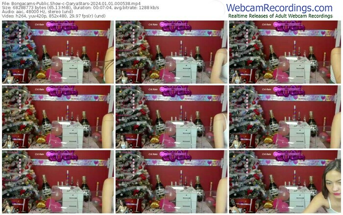 bongacams-daryastars-01-01-2024-00-05-38