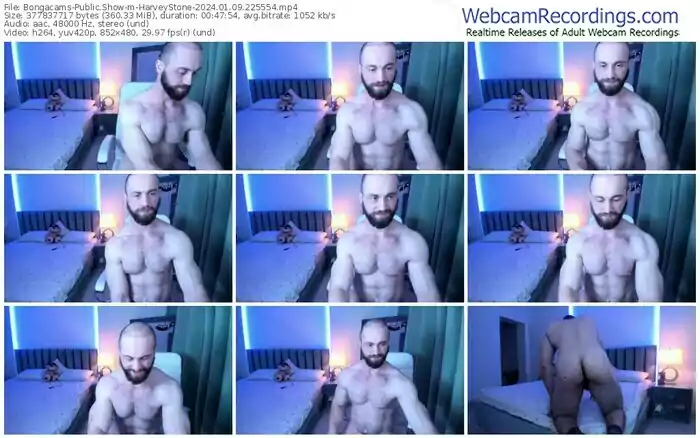 bongacams-harveystone-01-09-2024-22-55-54