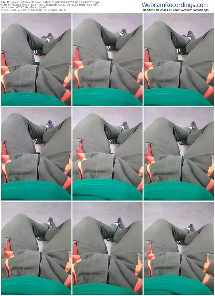 bongacams-camouflage2023-01-12-2024-09-02-07
