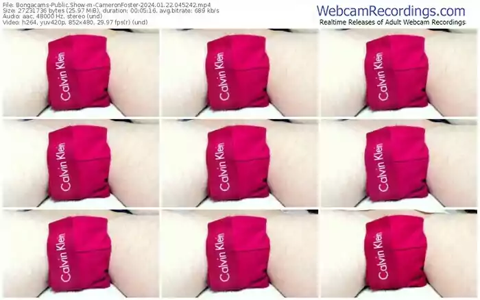bongacams-cameronfoster-01-22-2024-04-52-42