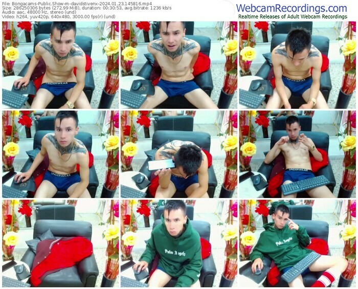 bongacams-davidstivenx-01-23-2024-14-58-16