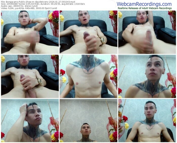 bongacams-davidstivenx-01-27-2024-09-10-43