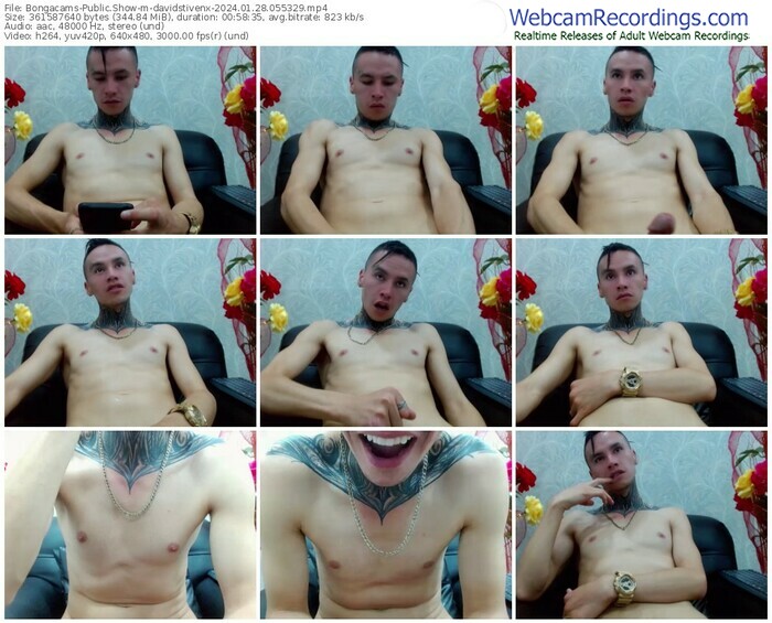 bongacams-davidstivenx-01-28-2024-05-53-29