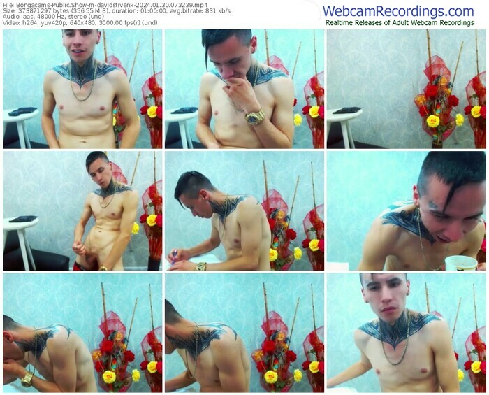 bongacams-davidstivenx-01-30-2024-07-32-39