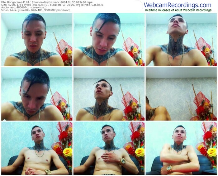 bongacams-davidstivenx-01-30-2024-09-34-30