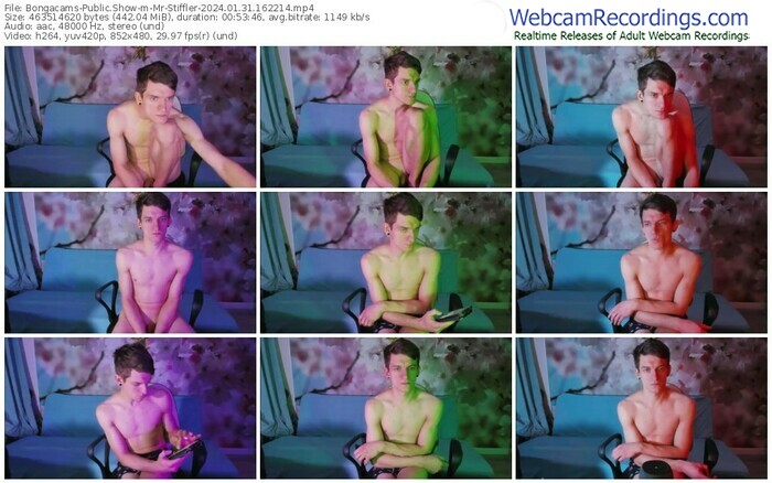 bongacams-mr-stiffler-01-31-2024-16-22-14