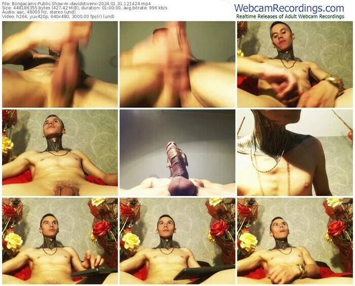 bongacams-davidstivenx-01-31-2024-12-14-24