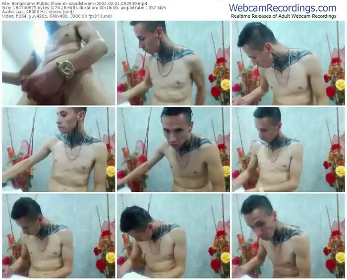 bongacams-davidstivenx-02-01-2024-09-29-49