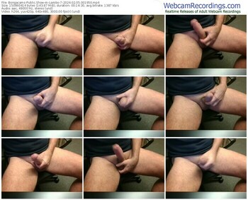 bongacams-lambo-7-02-05-2024-00-19-50