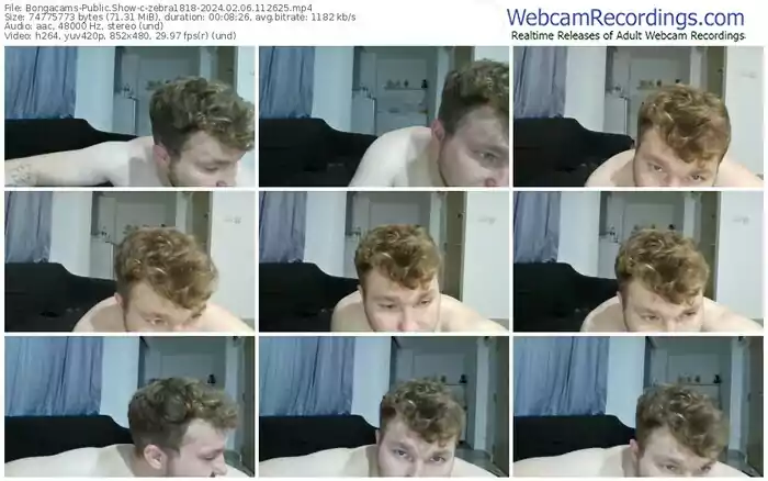 bongacams-zebra1818-02-06-2024-11-26-25