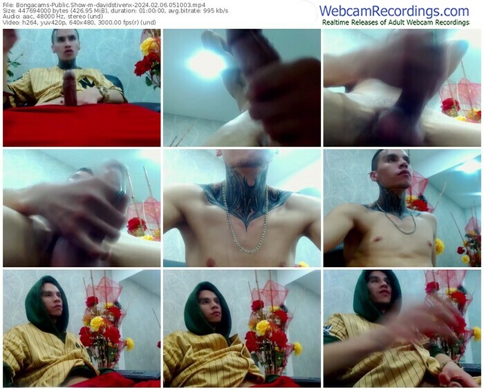bongacams-davidstivenx-02-06-2024-05-10-03