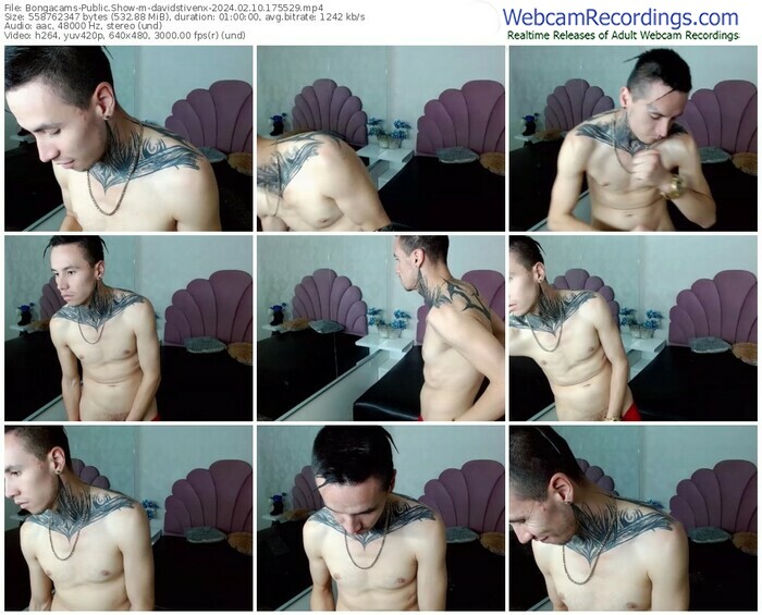 bongacams-davidstivenx-02-10-2024-17-55-29