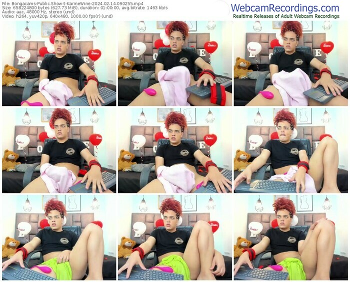 bongacams-karinewine-02-14-2024-09-02-55