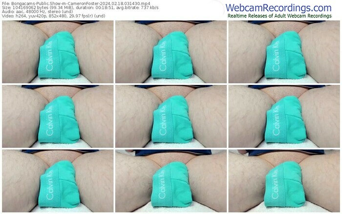 bongacams-cameronfoster-02-18-2024-03-14-30